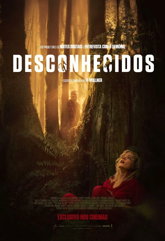 Cartaz do filme Desconhecidos.